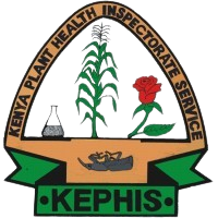 1631325223839-removebg-preview